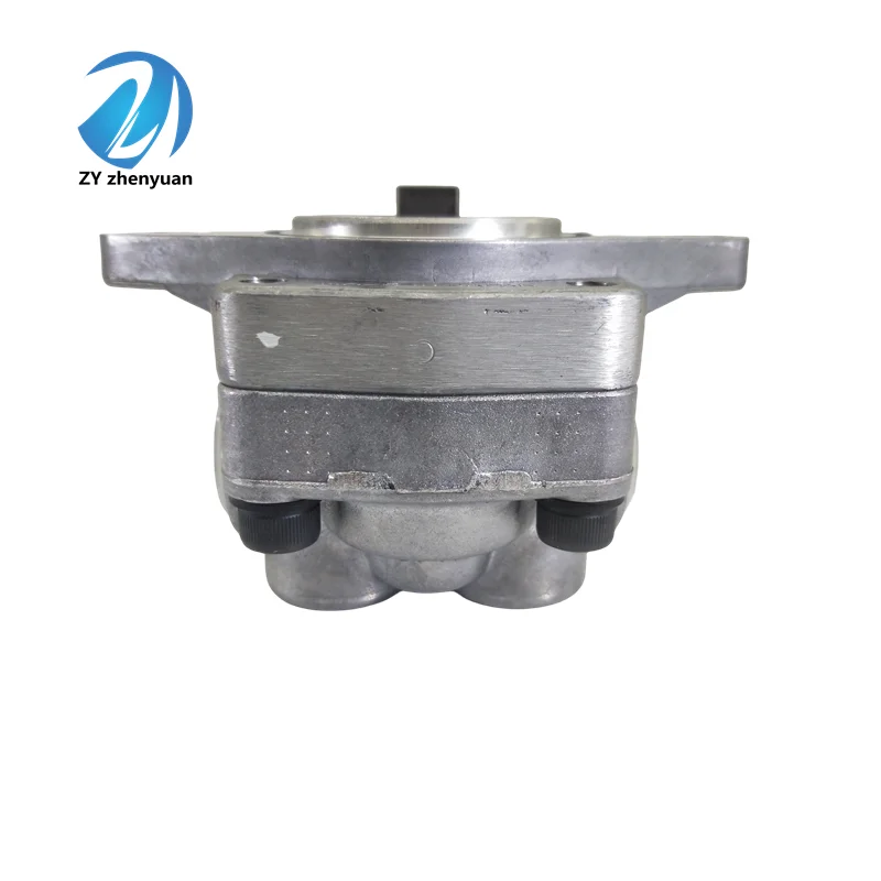 YP10 Series High Pressure Low Noise GEAR Pump YP10-0.8 YP10-1.7 YP10-2.5 YP10-3 YP10-3.5 YP10-25R244 YP10-3.5A2D2-R175