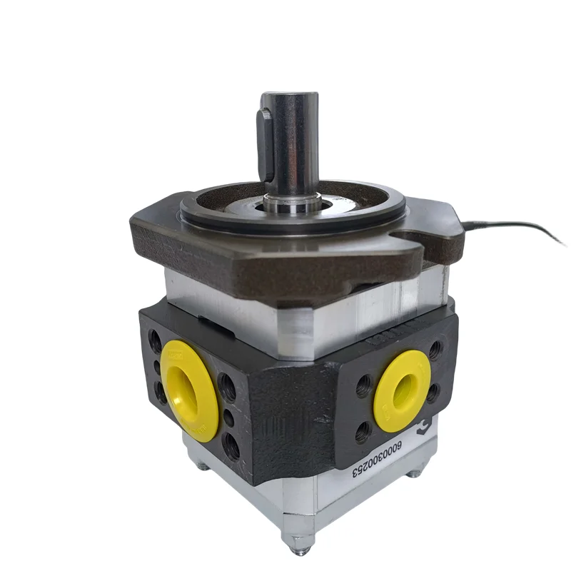 EIPH Series Hydraulic Internal Gear Oil Pump EIPH2-005-RK03-1X EIPH2 EIPH3 EIPH5 EIPH6