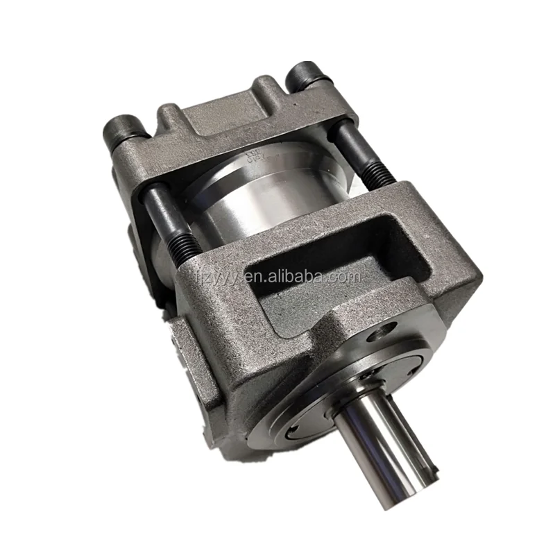QT23/QT32/QT33/QT42/QT43/QT52/QT53/QT62/QT63 QT43-20F-A QT62-125F-BP-Z Injection Molding Machine Hydraulic Gear Pump