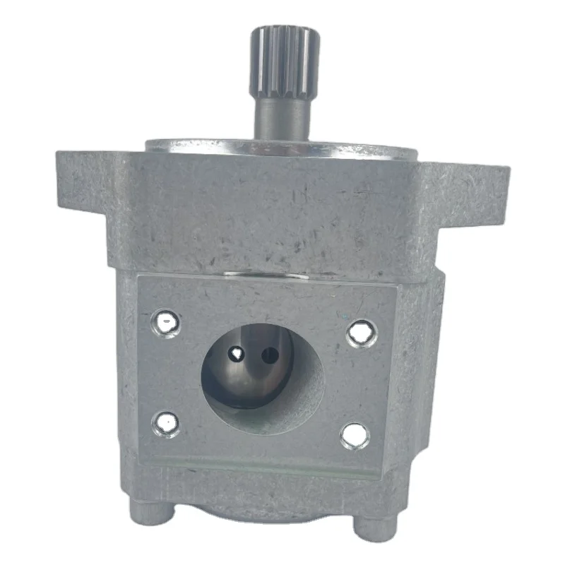 890-EI-0250-FS2-S202 Injection Molding Machine Hydraulic Gear Pump 890-EI-0800-RS2-C503