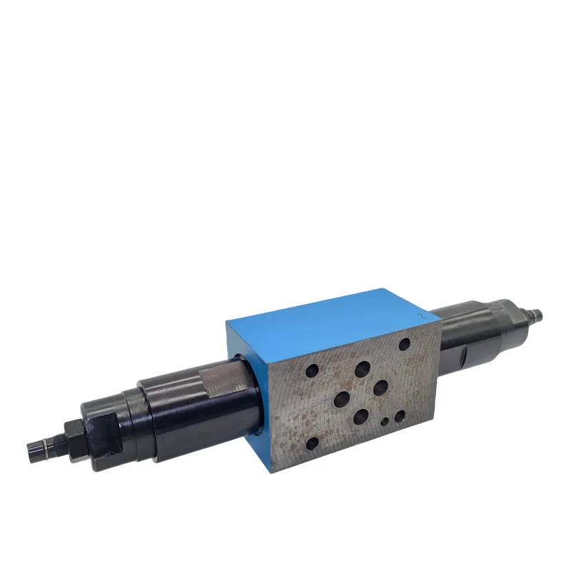 Direct Check Pilot Operated Relief Control Valve DGMC DGMDC DGMFN DGMR1 DGMX2 DGMC2 DGMPC DGMR Series