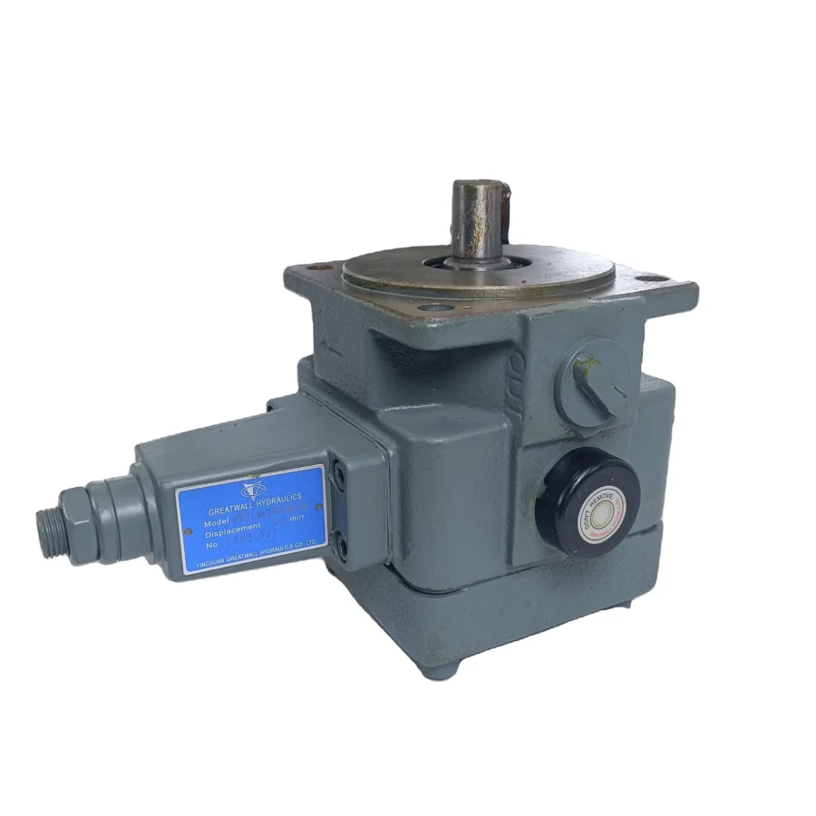 1PV2V4-20/20RA01MC1-16A1 Pilot Variable Hydraulic Vane Pump 1pv2v3-30/40RA01MC63A1
