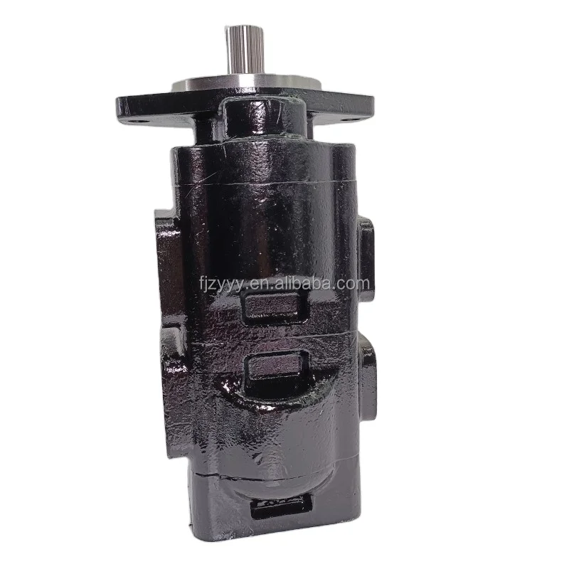 Gear Pump Hydraulic 3129612019 P31A297BEOH17-25 3339121250  PGP517B0330CD1H3NP4P2C-517A023