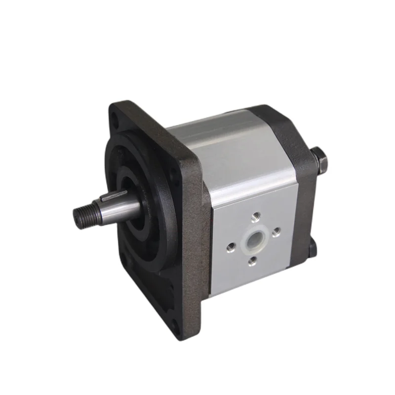 PGP 3319111261 PGP505A0080CQ2D2NE5E3B1B1 Hydraulic Gear Oil Dump Pumps for Lift