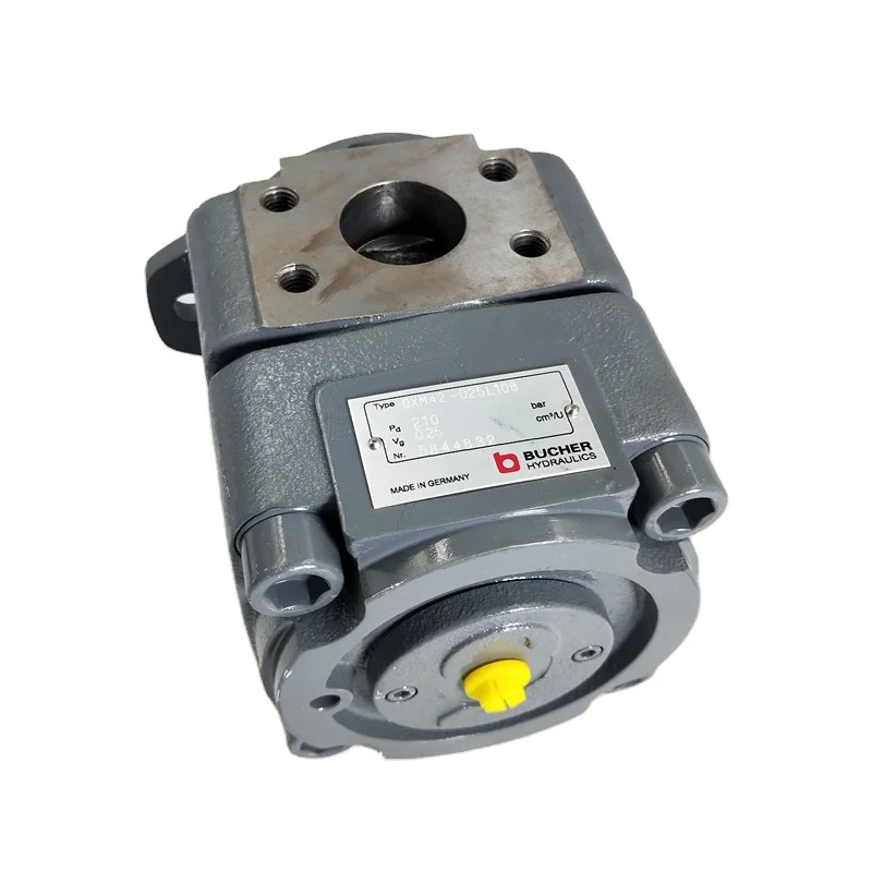 QX QXEH42-032R451 QXEM42-025N QX51-125/43-025R QX52-100/51-100R05 QX62-100/51-100R05 Hydraulic Gear Pump Motor