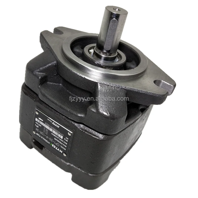 Cp0 Cp1 Cp2 CP0 -08-P-10R CP1-25-P-10R CP2-100-P-10 CP2-80-P-10R Hydraulic Injection Moulding Machine Gear Pump