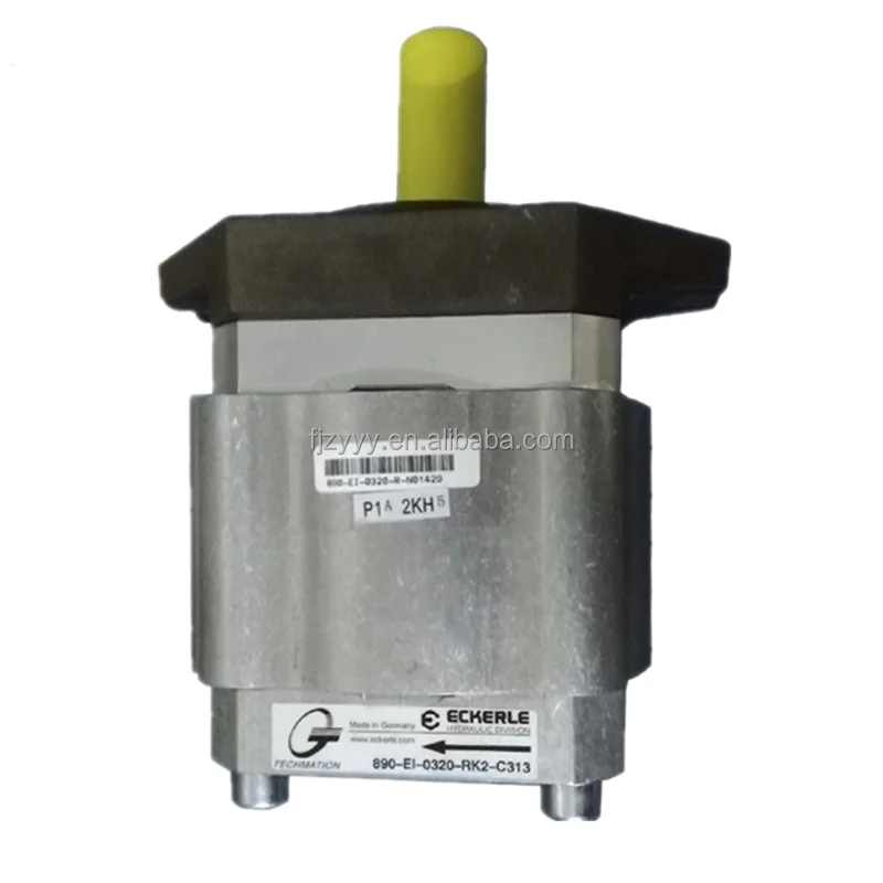 890-EI-0250-FB2-S201 890-EI-0630-RS2-C313 890-EI-1000-RS2-C502 Hydraulic Gear Pump