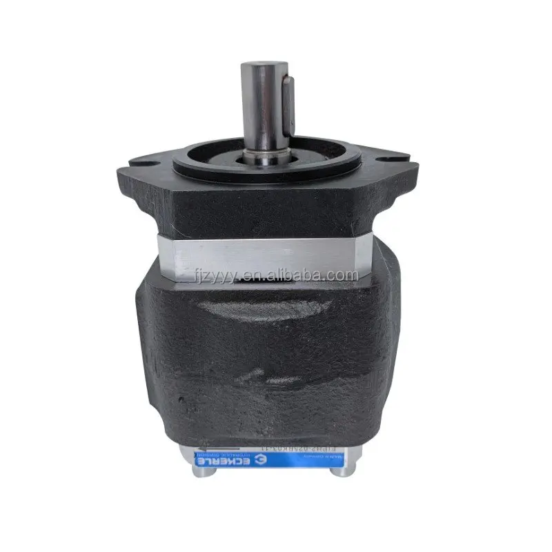HQ12 HQ13 HQB HQ12-016RK23-10S122 HQ12-016RA04-11S 101 CNC Bending Machine Extrusion Hydraulic Oil Pump