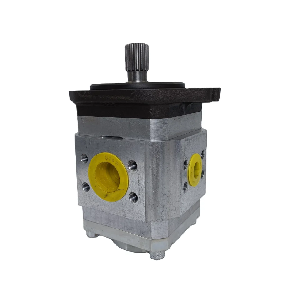 EIPC3-032RB23-10S196 Injection Molding Machine Hydraulic Gear Pump EIPC5-100RA23-10 EIPC6-125RA23-10