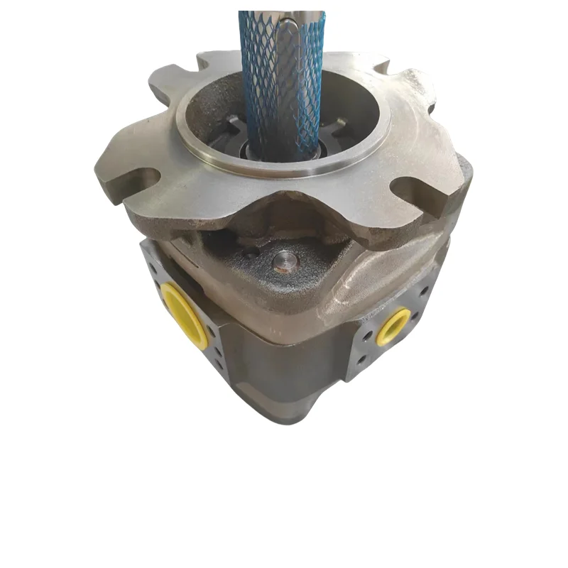 IPVAP4-32-171 IPVP4-20-171 IPV3-3.5-101 Injection Molding Machine Gear Pump IPVP4-32-171 IPVAP3-3.5-101