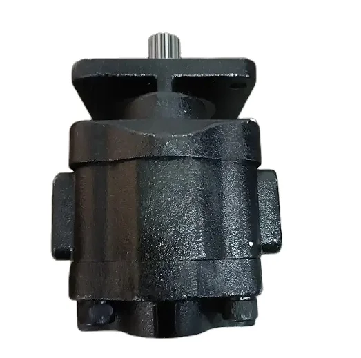 1L01,5DH09S L0 1L010DH09S Roquet Hydraulic Pump