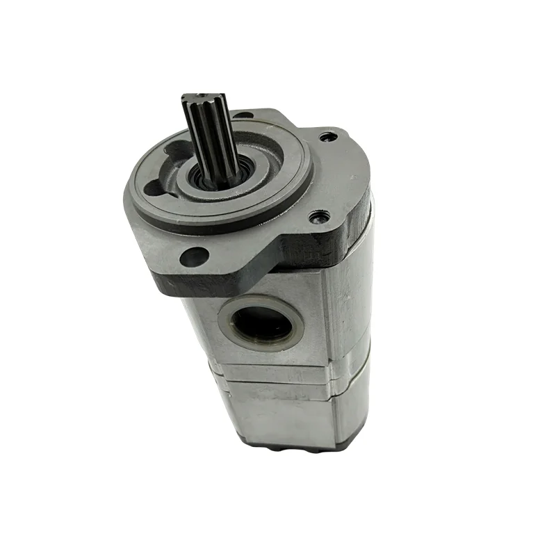 ZHENYUAN PLP Hydraulic Gear Pump PLP20.14DO-82E2-LEB/EA-N-EL-FS/PLP20.11,2DO 82-LEA/EAEL-FS