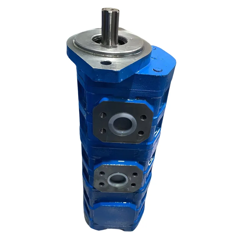 CBGJ of CBGJ0 CBGJ1 CBGJ2 CBGJ3 CBGJ2050 CBGJ2080/1010 XF11C0004 Double High-pressure Hydraulic Gear Pump