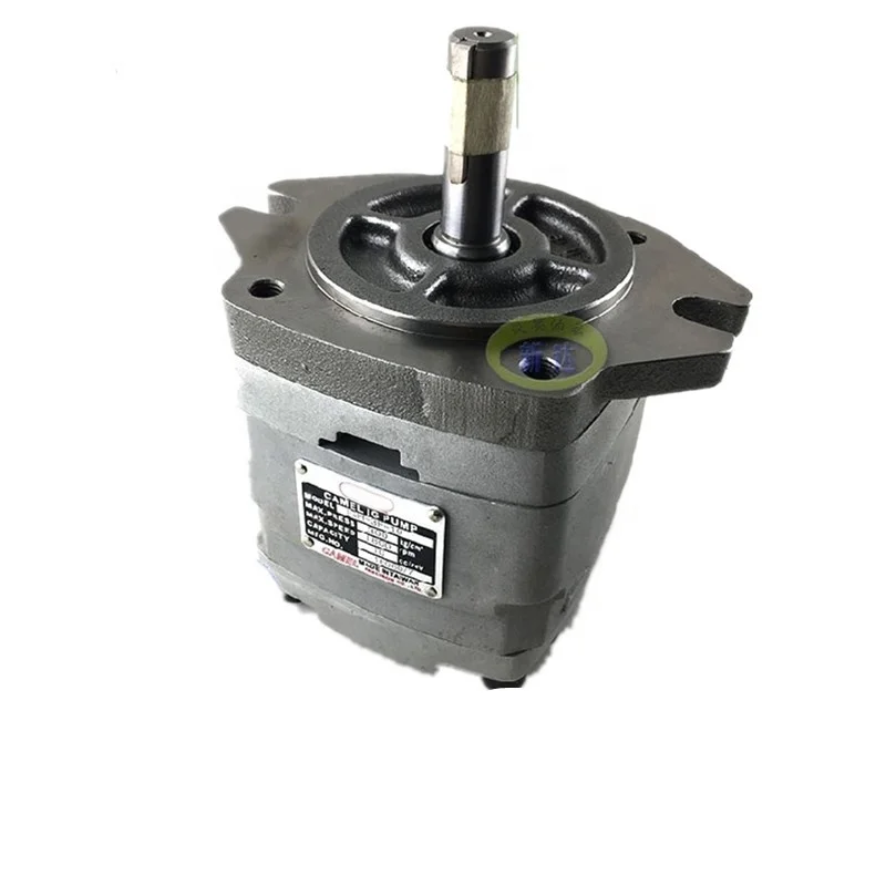 IGH-4F-25 Hydraulic Vane Pump IGH/IGC-2E/2F/3E/3F/4E/4F/5E/5F-3.5/6.5/10/13/16/25/32/40/50/64-R